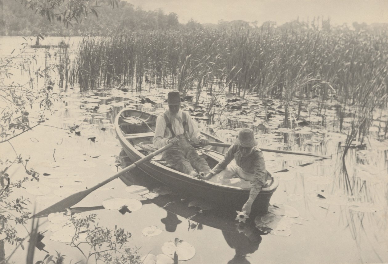 Récolte de nénuphars - Peter Henry Emerson