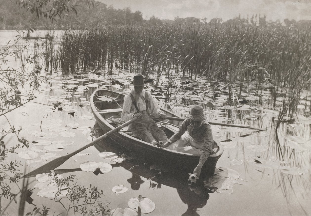 Cueillir des nénuphars - Peter Henry Emerson