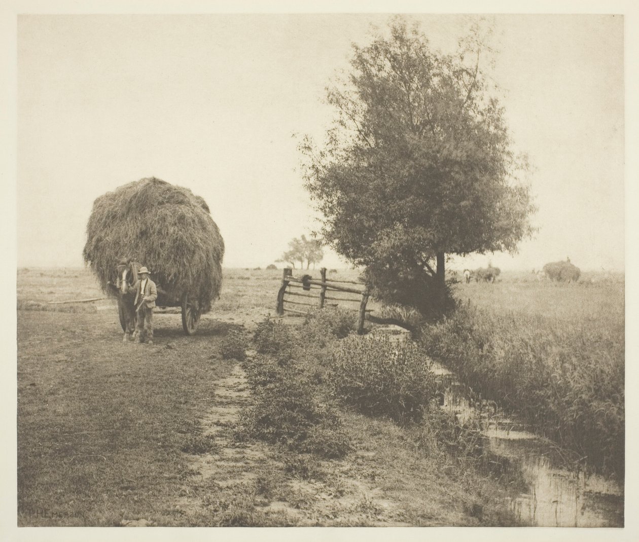Dans le Haysel (Norfolk) - Peter Henry Emerson