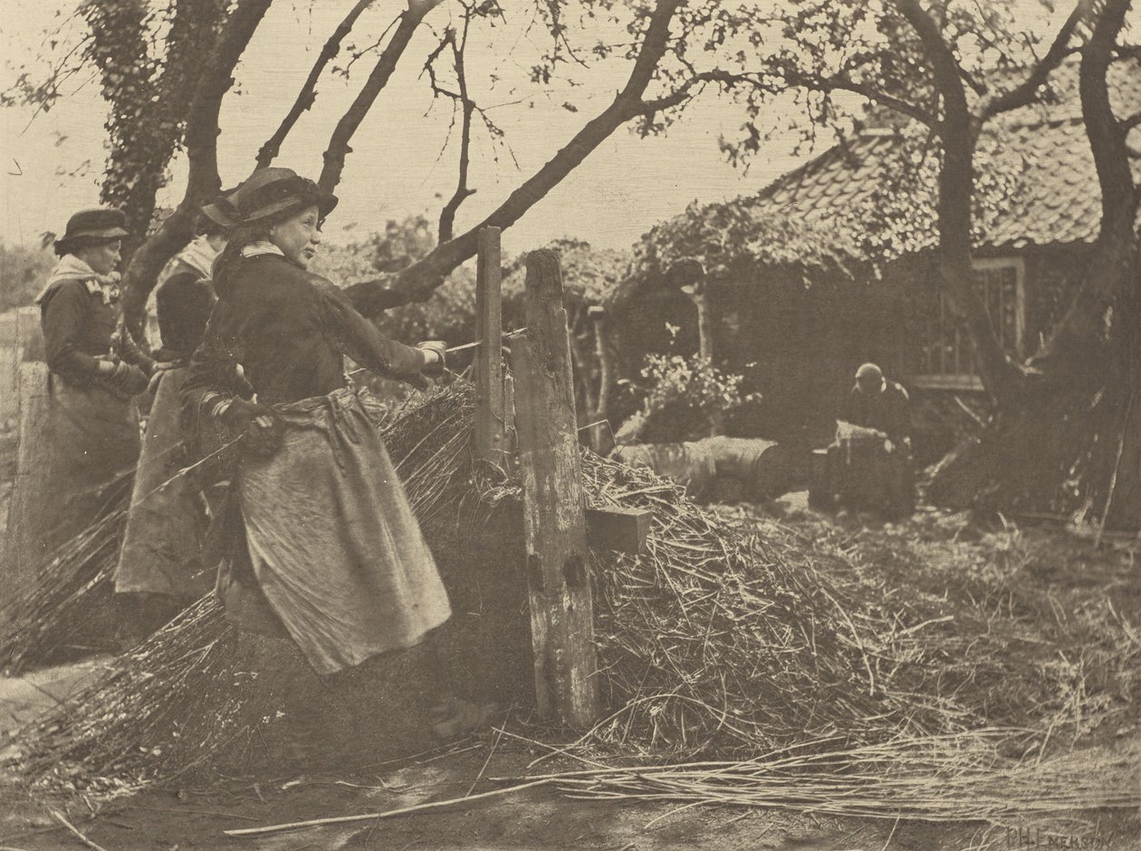 OsierPeeling. [Norfolk]]. - Peter Henry Emerson