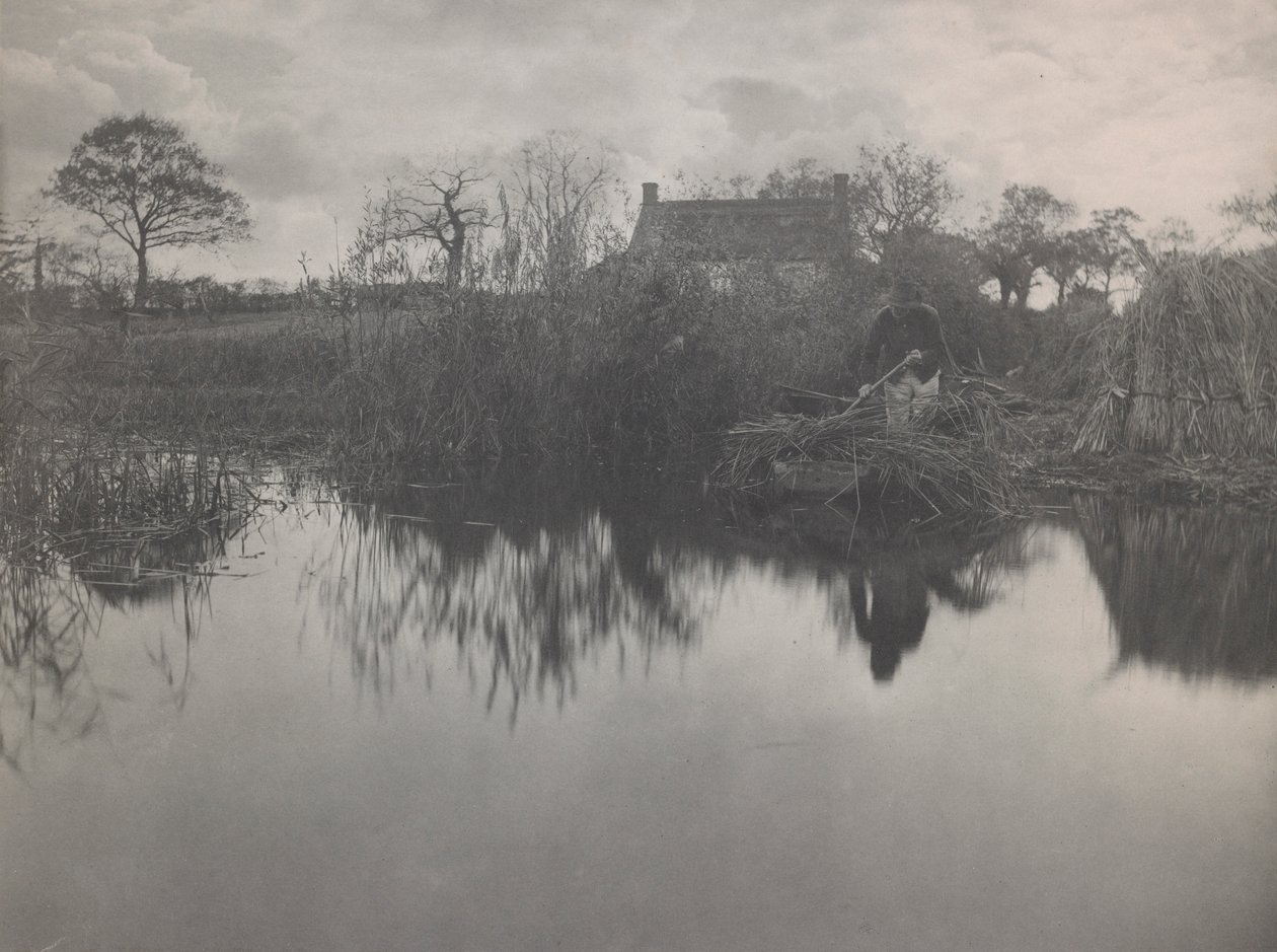 Quanting the Gladdon - Peter Henry Emerson