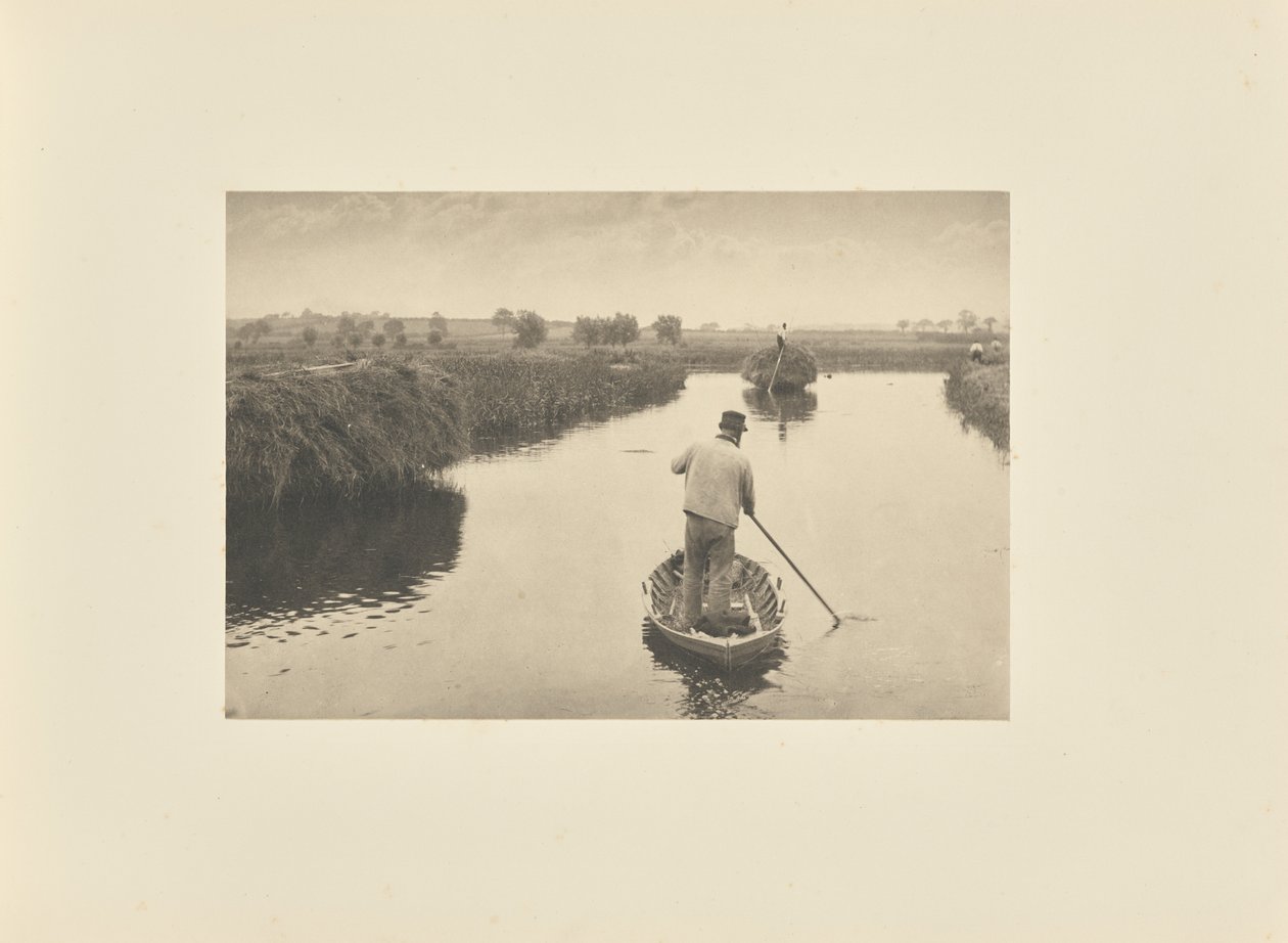 Quantifier le foin des marais - Peter Henry Emerson