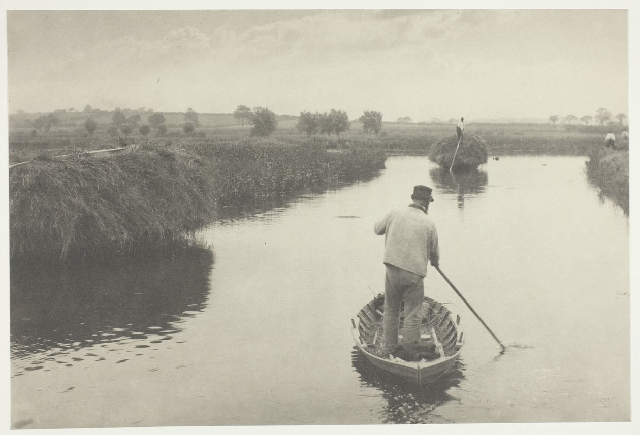 Quantifier le foin des marais - Peter Henry Emerson