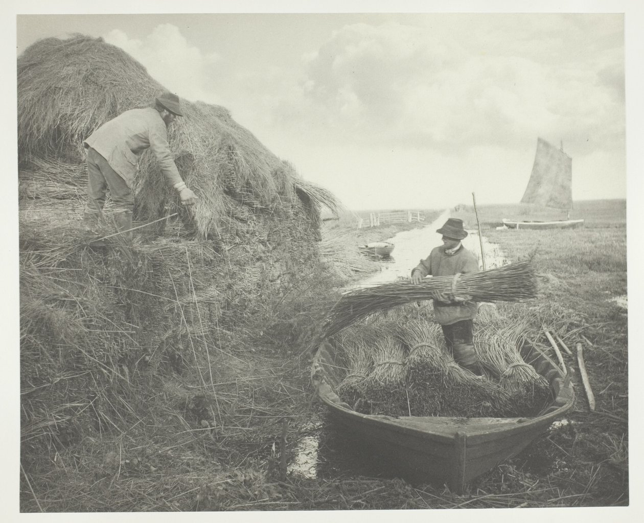 Empilage des roseaux - Peter Henry Emerson