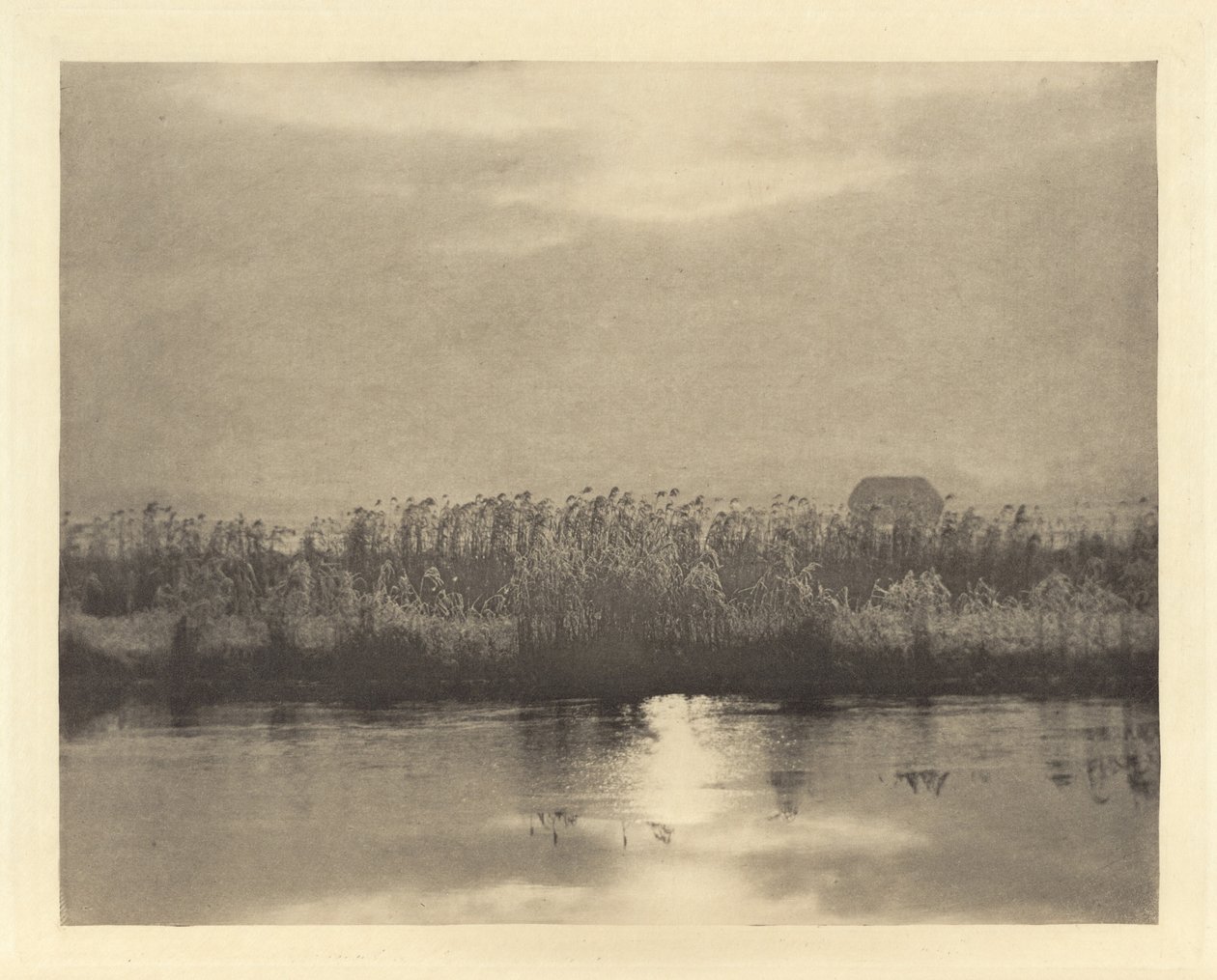 Cristaux de givre - Peter Henry Emerson
