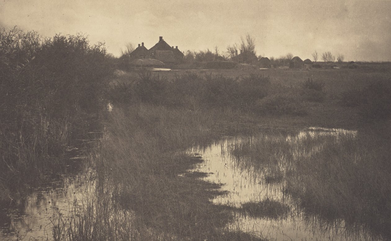 La lisière du marais - Peter Henry Emerson