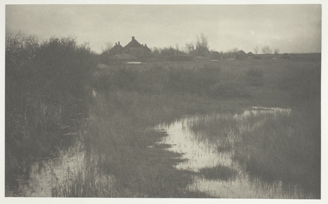 La lisière du marais - Peter Henry Emerson