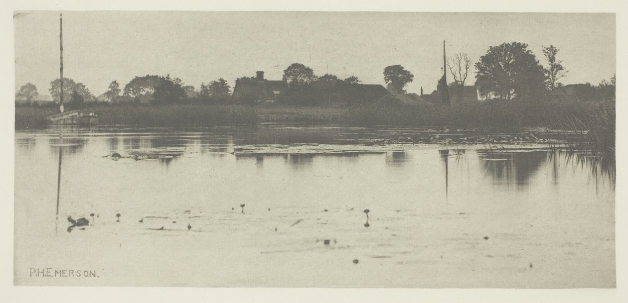 La Frange du Marais - Peter Henry Emerson