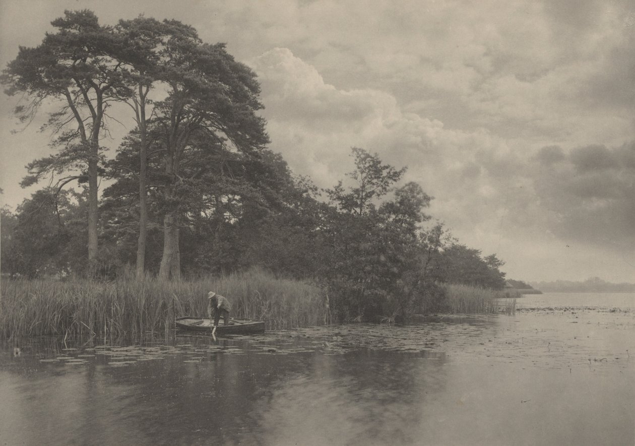 The Haunt of the Pike,1887 (photo) - Peter Henry Emerson