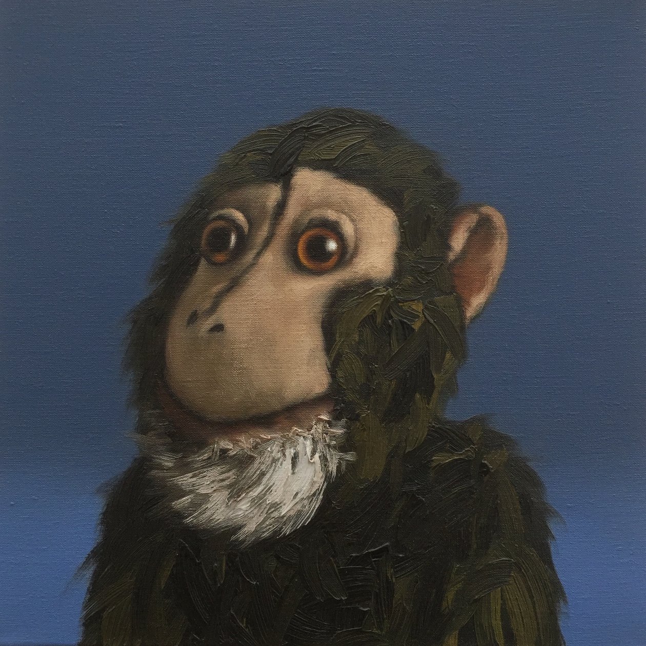 Singe Andy - Peter Jones