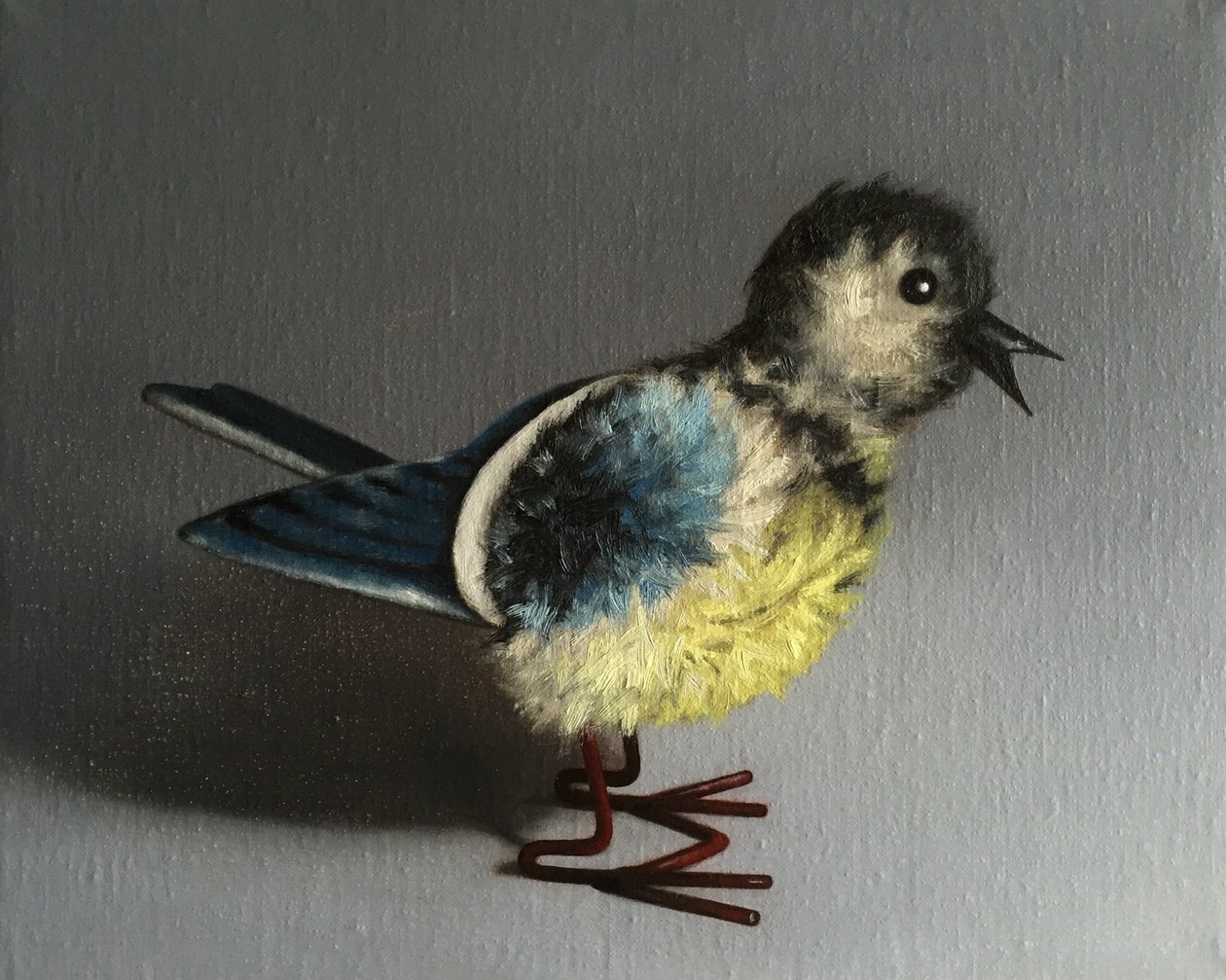 Mésange bleue - Peter Jones