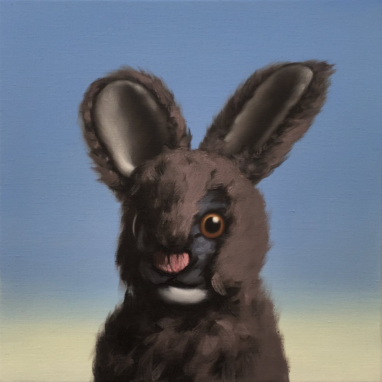 Lapin - Peter Jones
