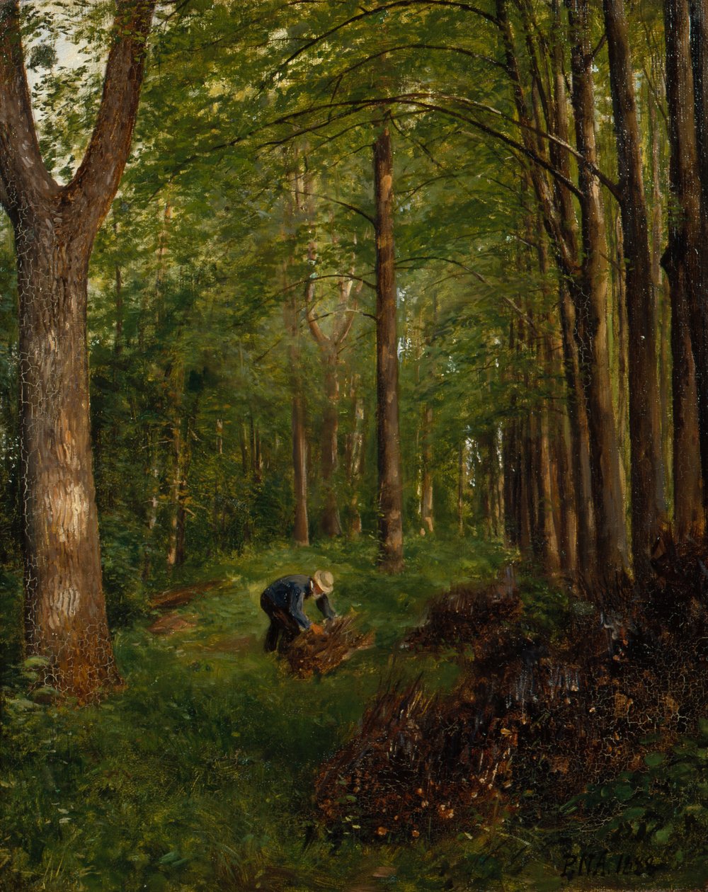Vieux peuplier, section du jardin de Gulskov - Peter Nicolai Arbo