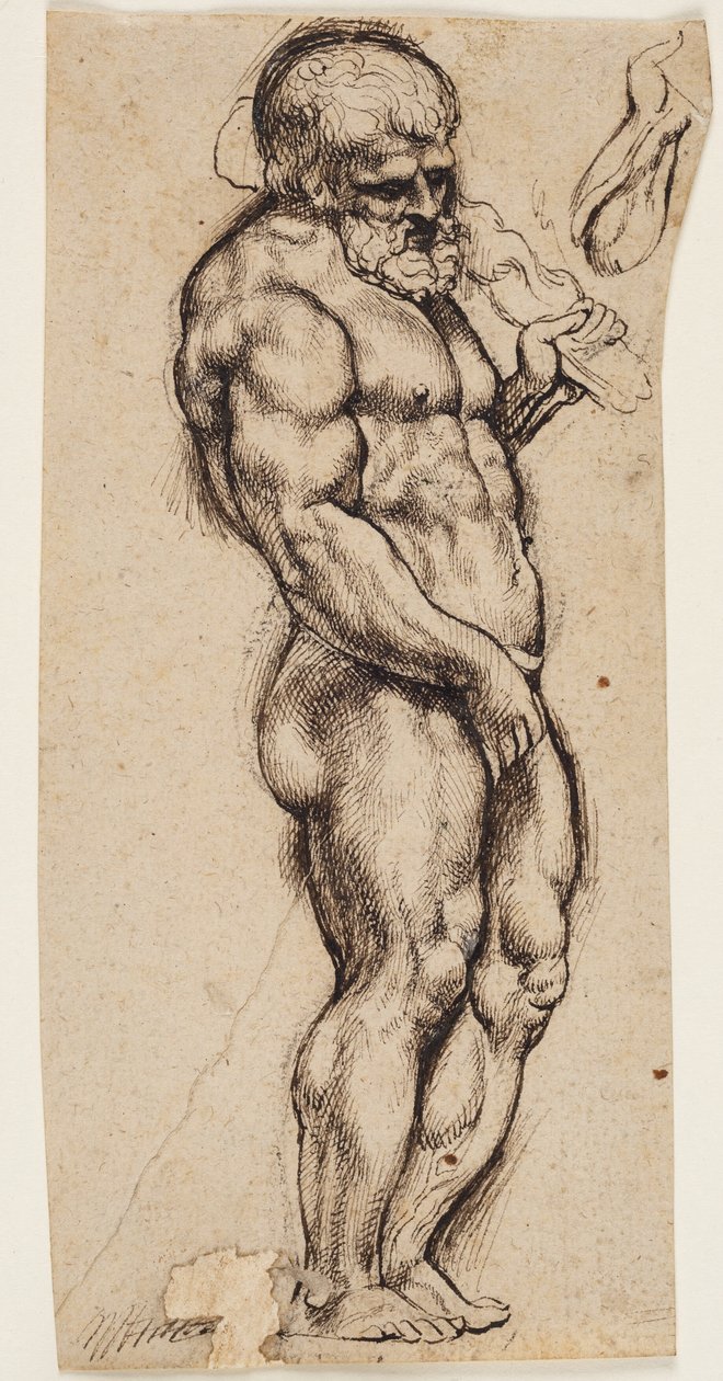 Hercule - Peter Paul Rubens