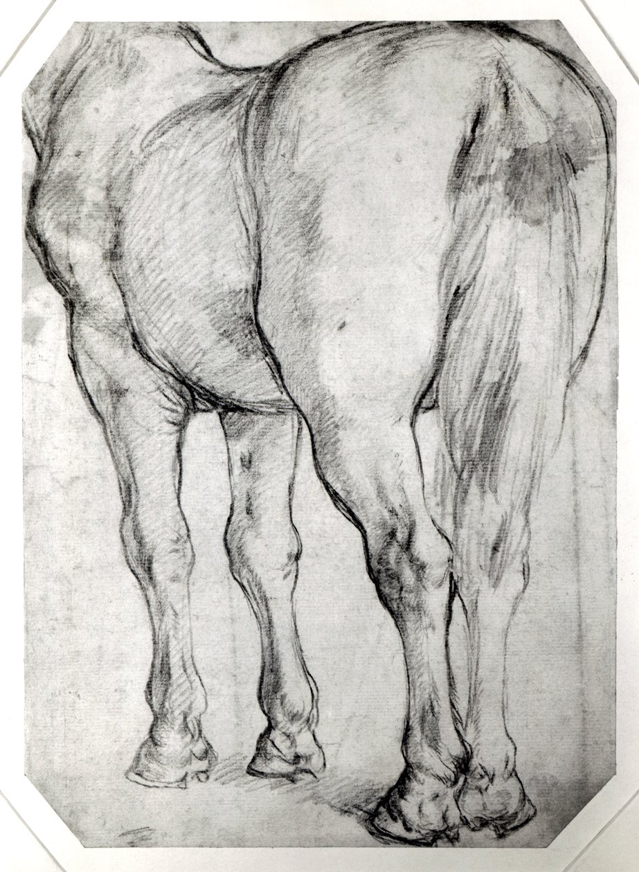 Arrière du cheval - Peter Paul Rubens