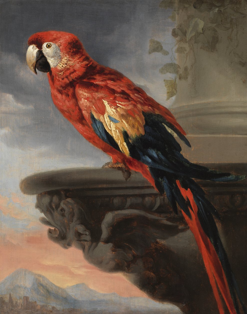 Perroquet, c.1630-40 - Peter Paul Rubens
