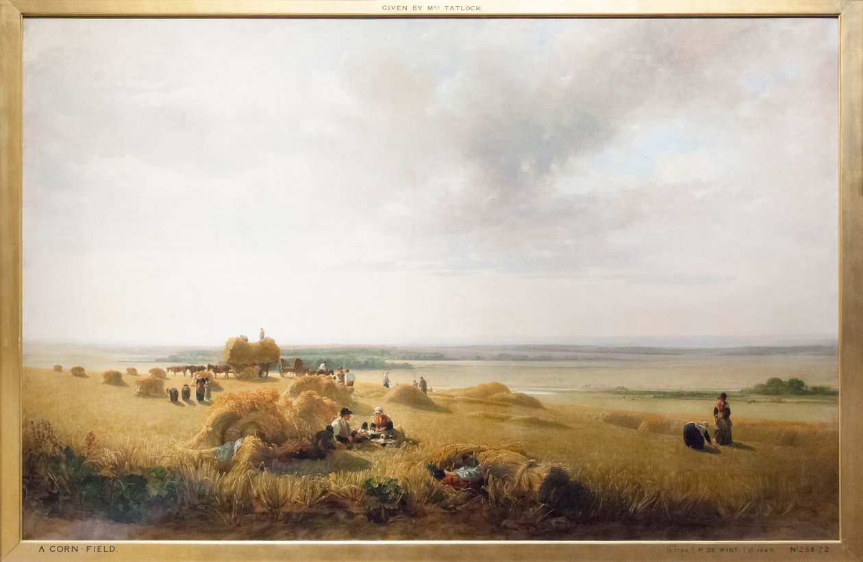 Un champ de maïs - Peter de Wint