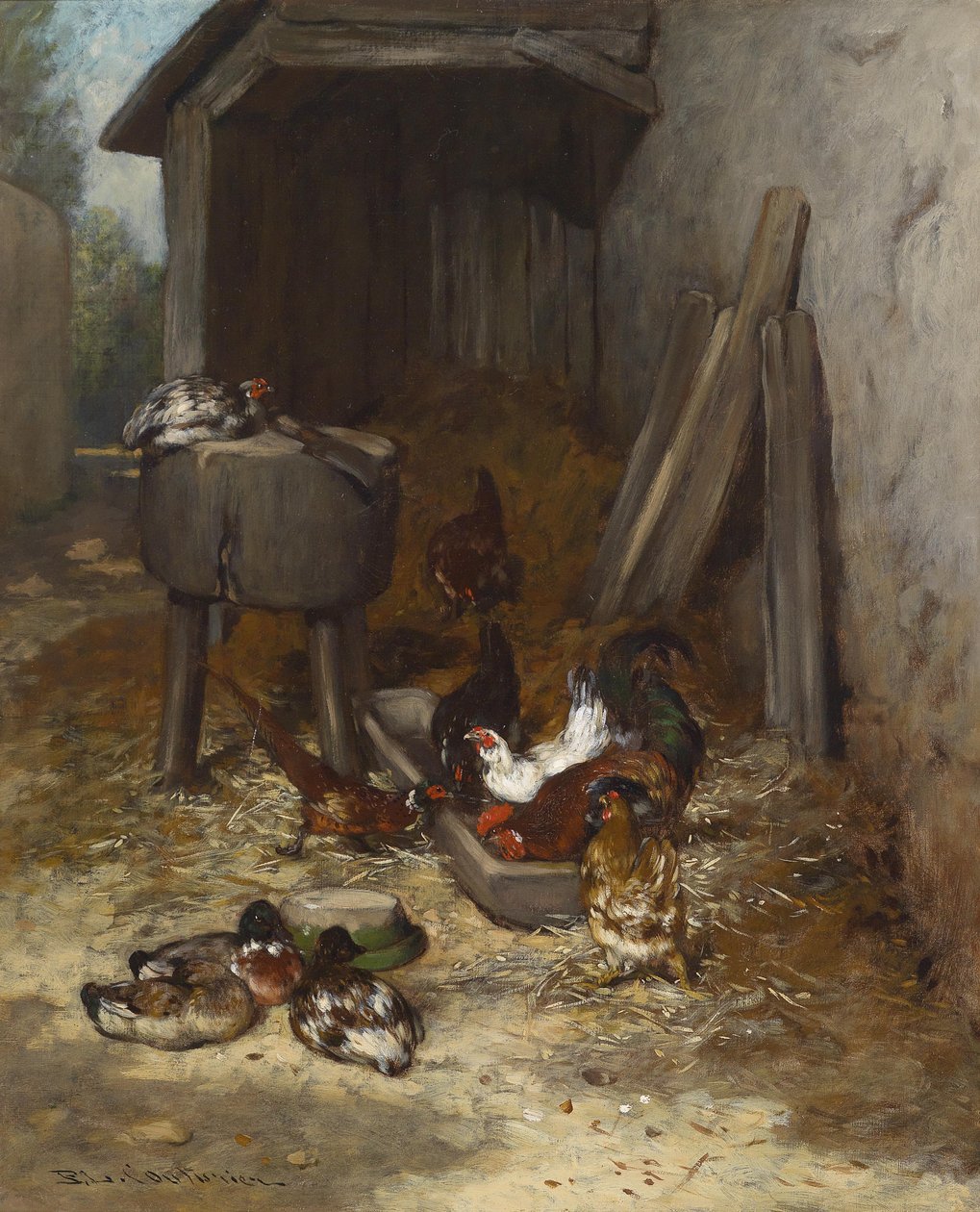 Poules dans l