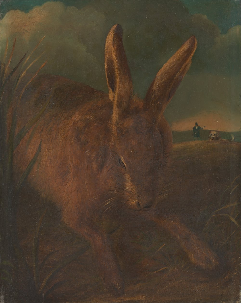 Chasse au Lièvre - Philip Reinagle