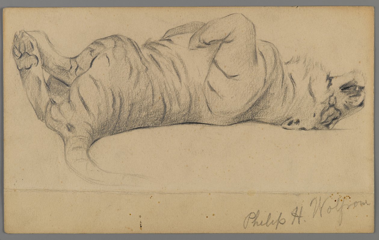 Tigre endormi - Philip H. Wolfrom