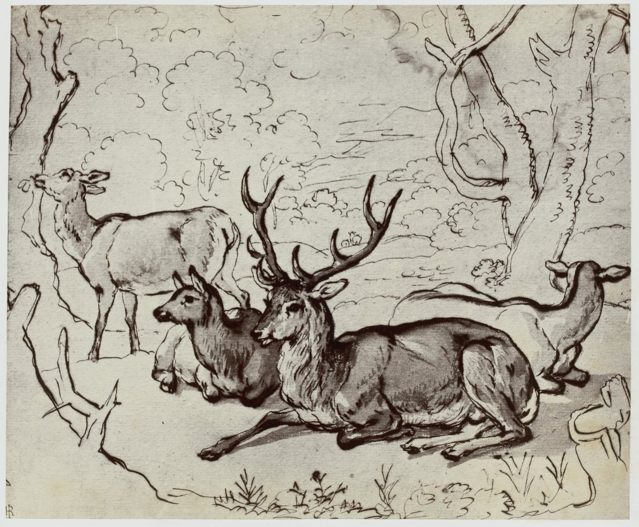 Ridinger, Un Cerf - Philip Henry Delamotte