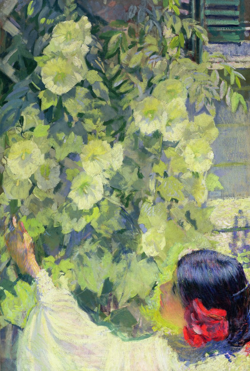 Roses trémières, vers 1923 (huile sur toile) - Philip Leslie Hale