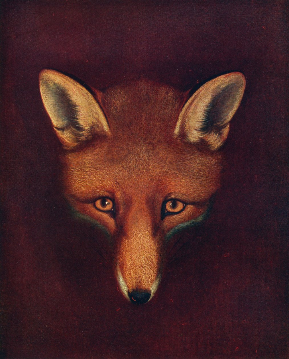 Renard le goupil, c1800, 1922 - Philip Reinagle