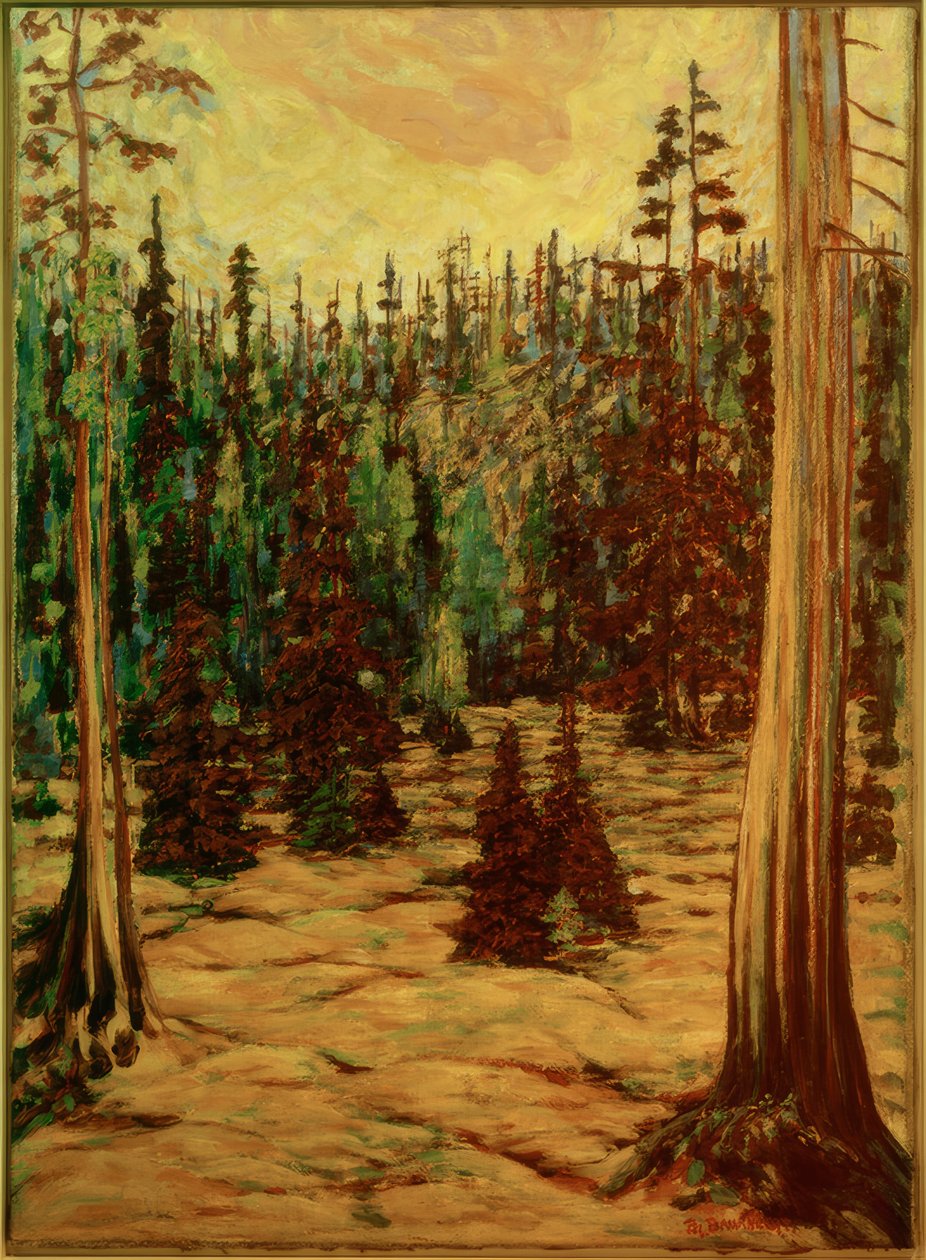 Forêt d