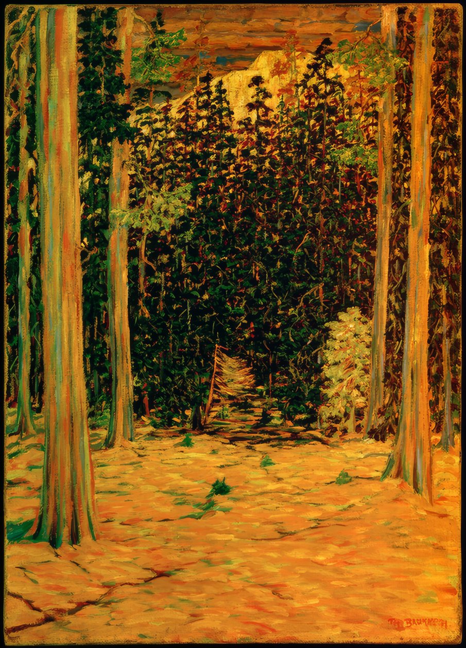 Début du printemps - Philipp Bauknecht