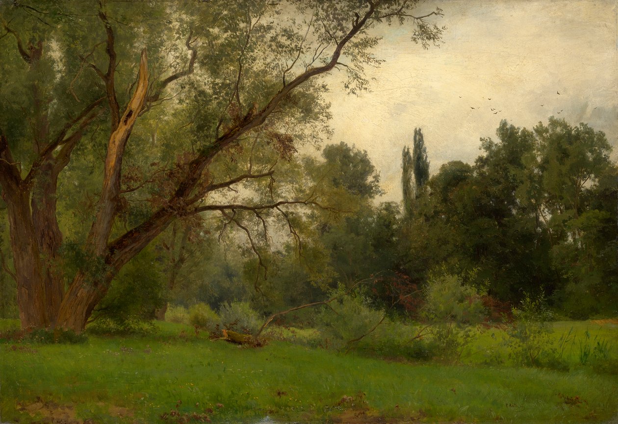 Dans le parc de Kleinheubach sur le Main - Philipp Röth