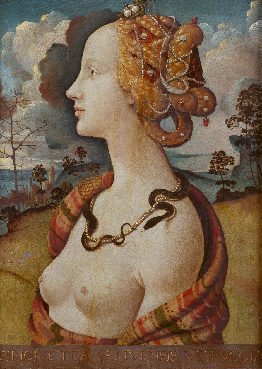 Portrait de femme dit de Simonetta Vespucci - Piero di Cosimo