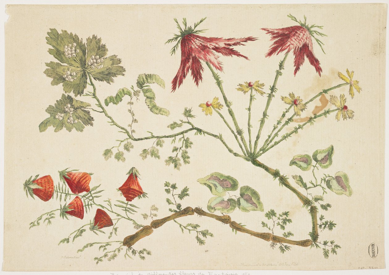Ornement, Chinoiserie, Fleurs, 30 juin 1760 - Pierre Charles Canot