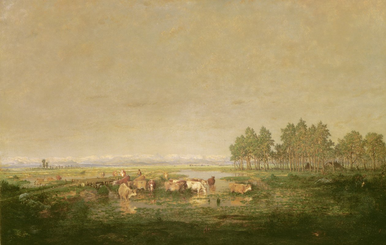 Marais dans les Landes, vers 1853 - Pierre Etienne Theodore Rousseau