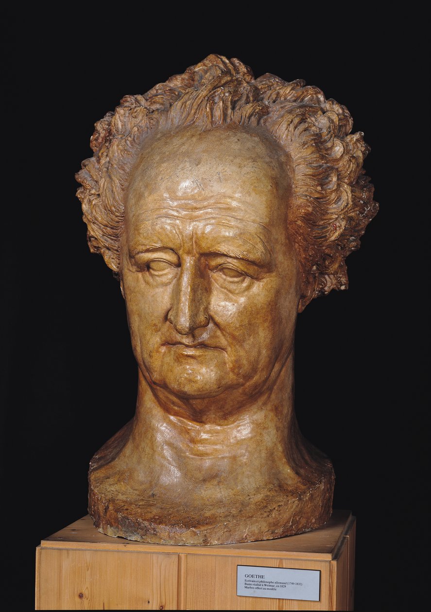 Buste de Johann Wolfgang von Goethe (1749-1832), 1831 (plâtre) - Pierre Jean David d