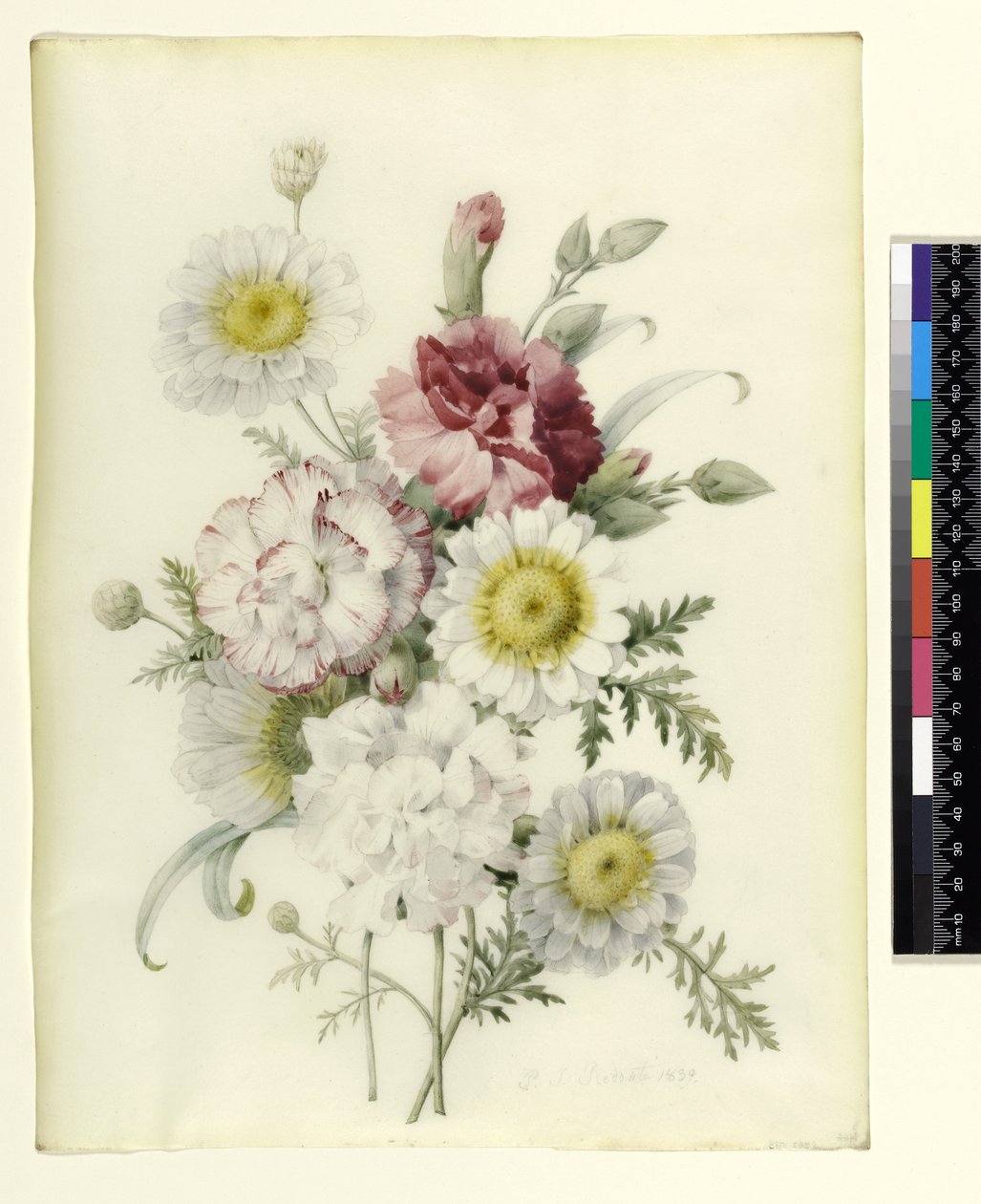Bouquet d
