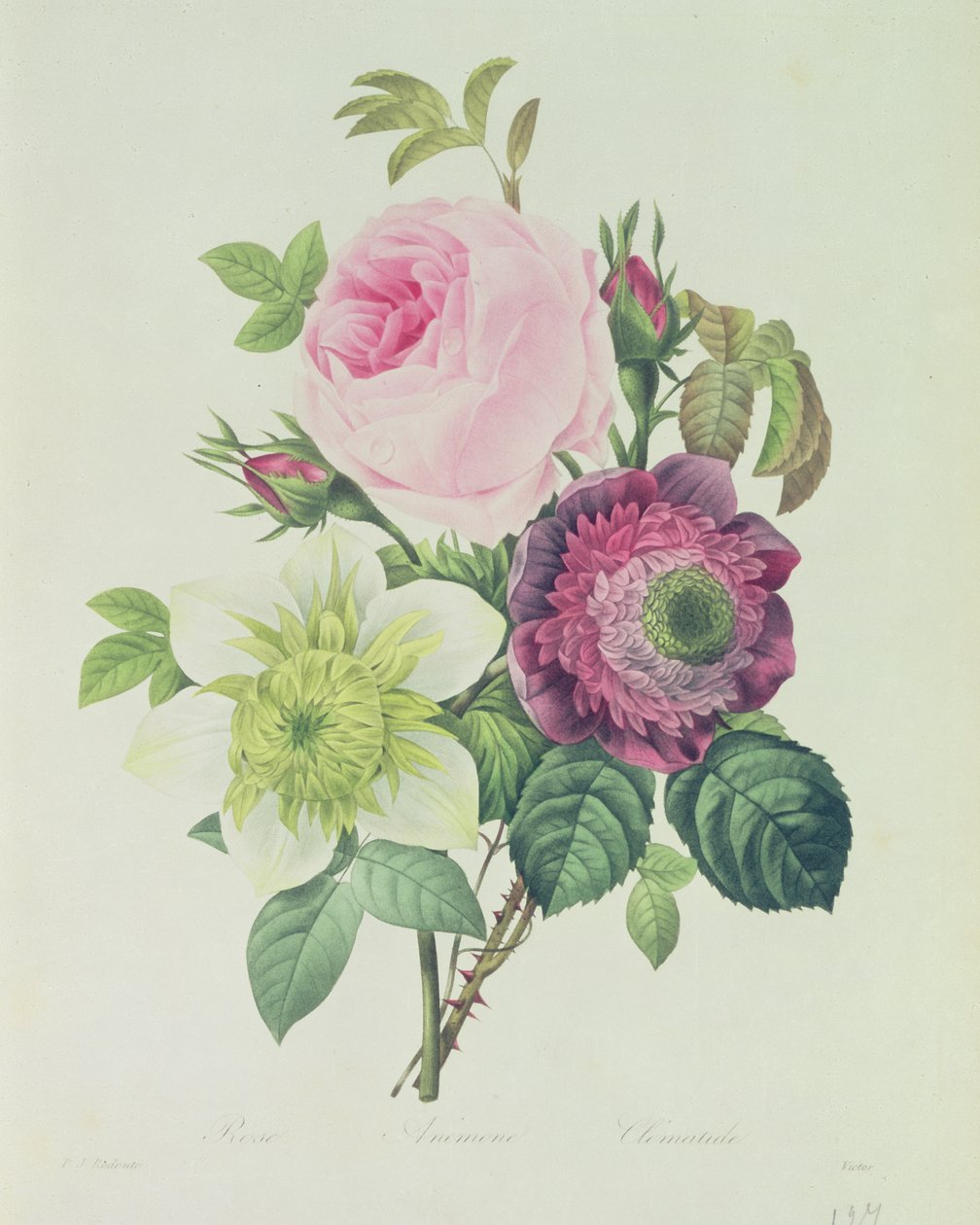 Rose, anémone et clématide, de 
