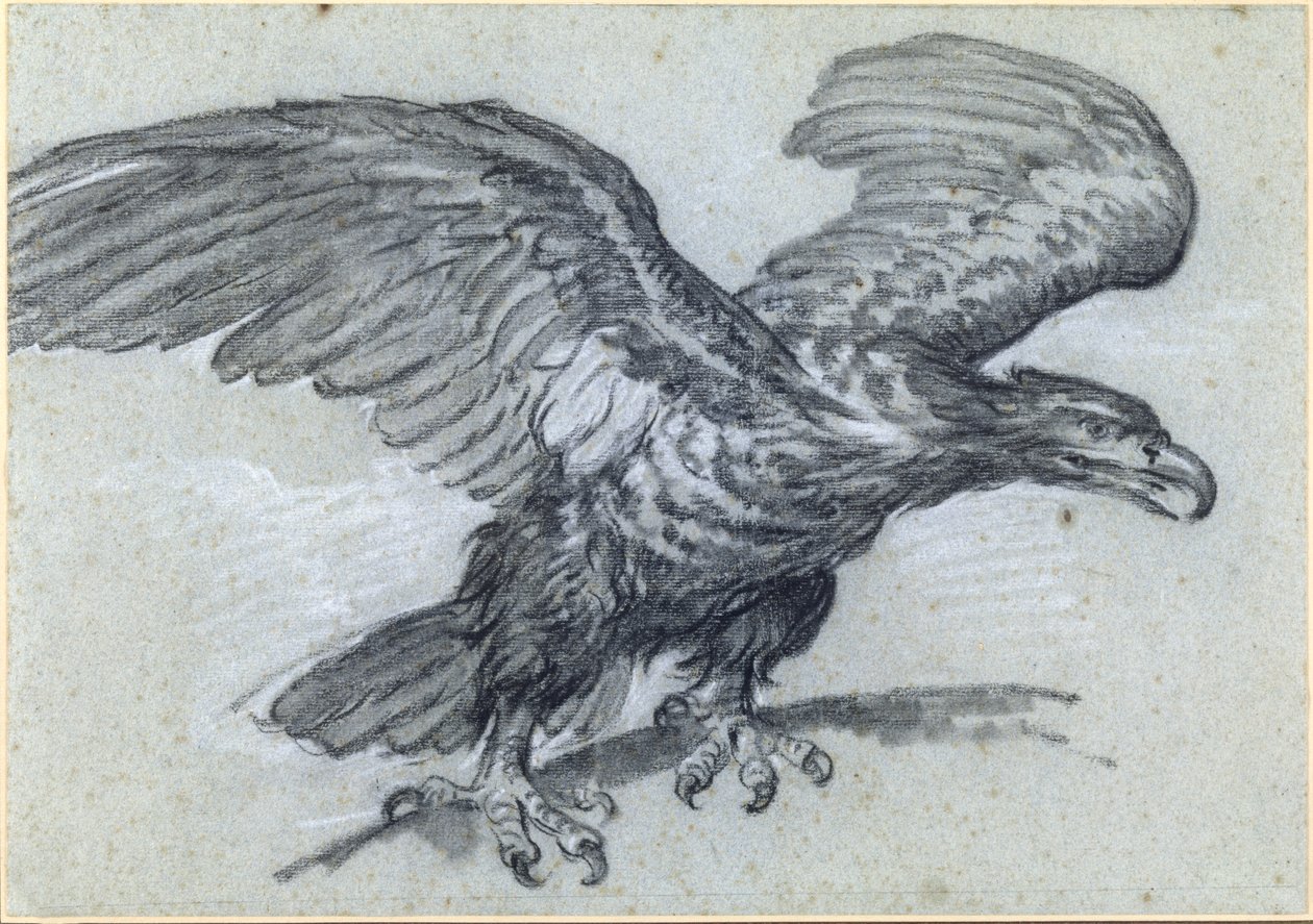 Un aigle, 1811 - Pierre Paul Prudhon