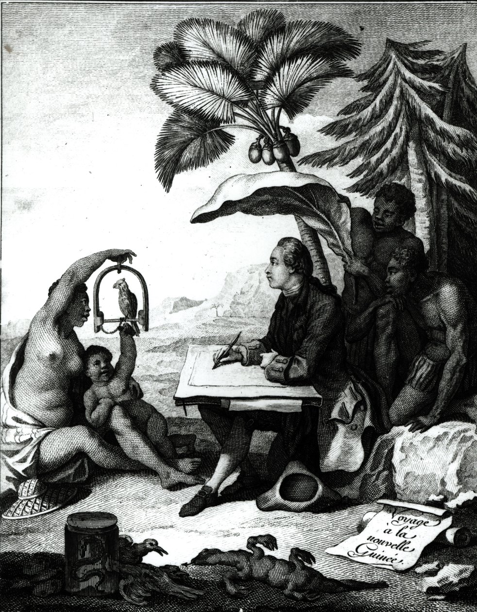 Pierre Sonnerat dessinant un oiseau, de 