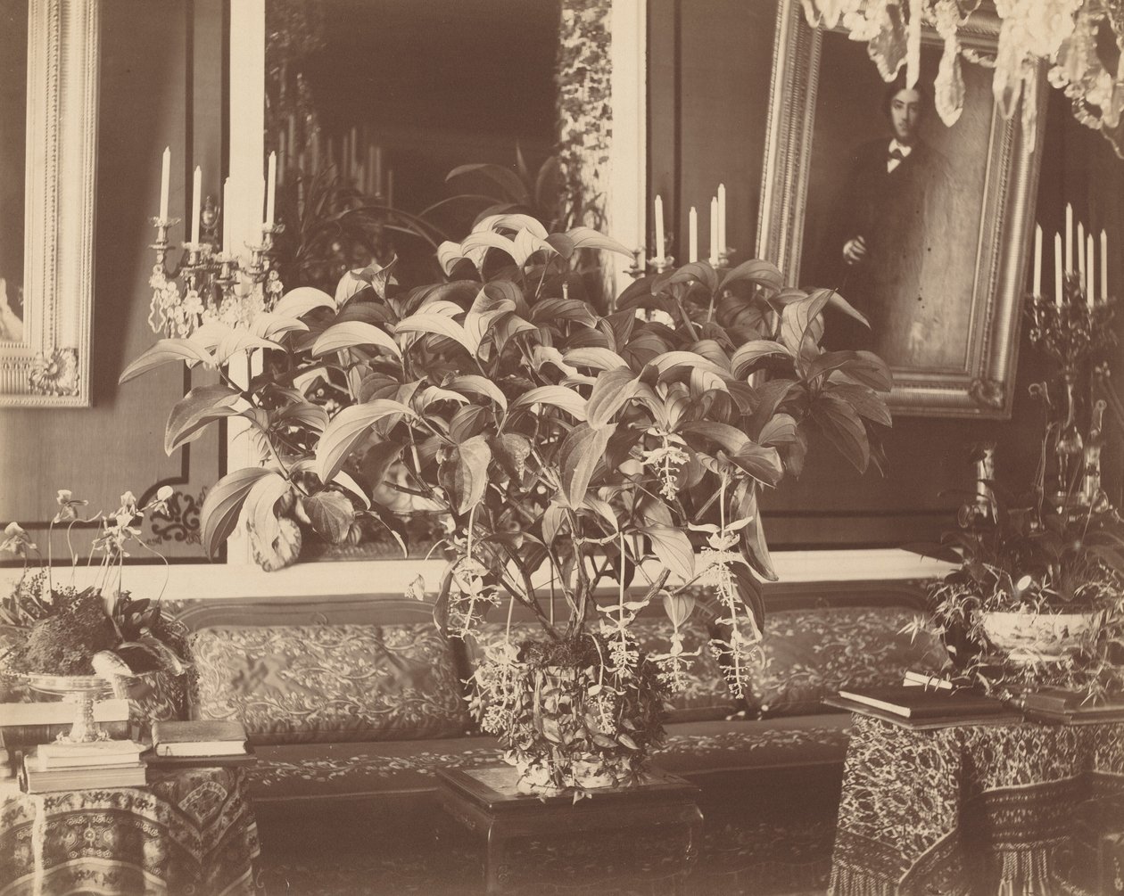 Intérieur, années 1860 (photo) - Pierre Ambroise Richebourg