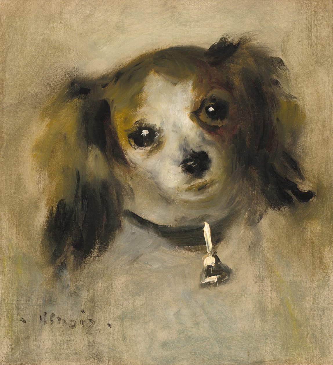 Tête de chien - Pierre Auguste Renoir