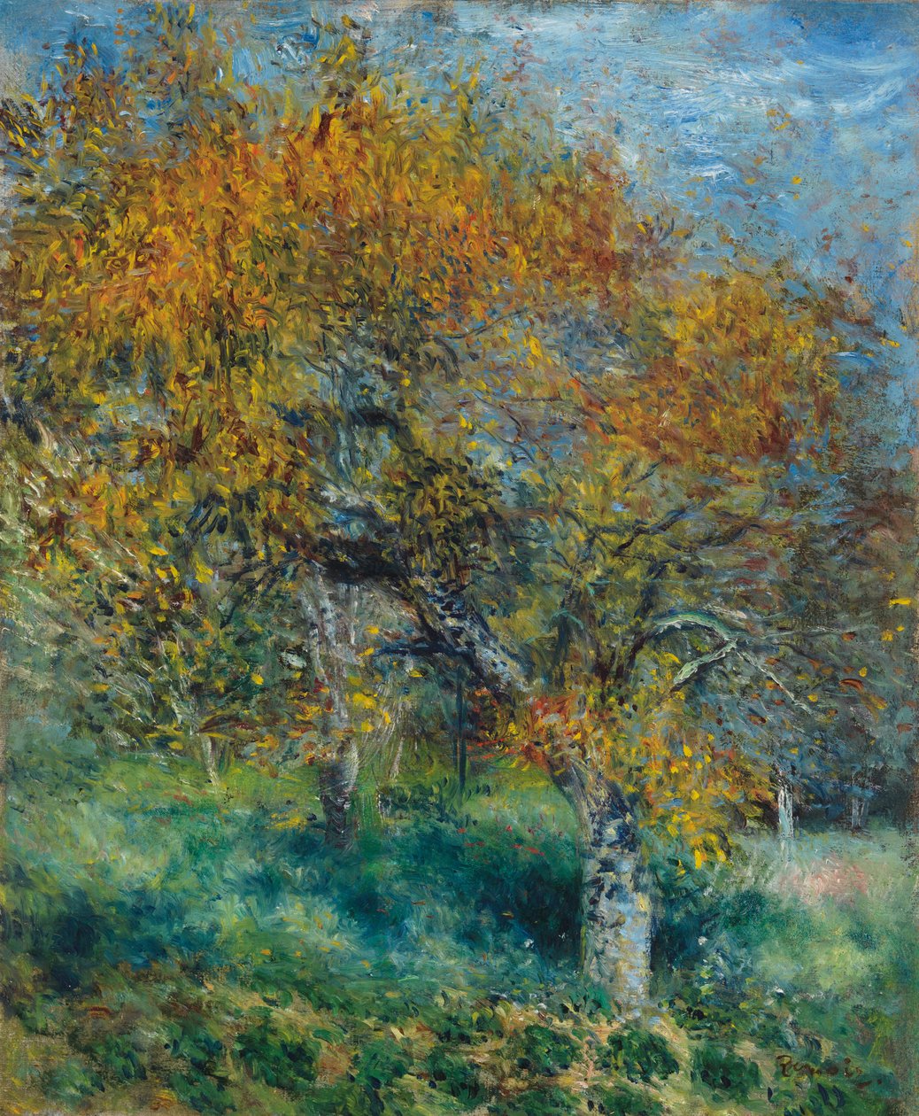 Le Poirier, vers 1870 - Pierre Auguste Renoir