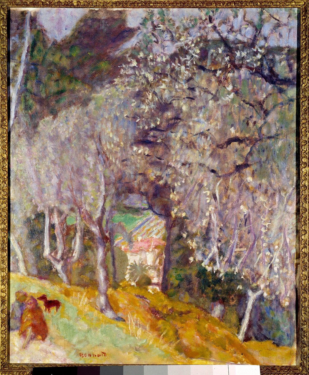 Maison dans les oliviers - Pierre Bonnard