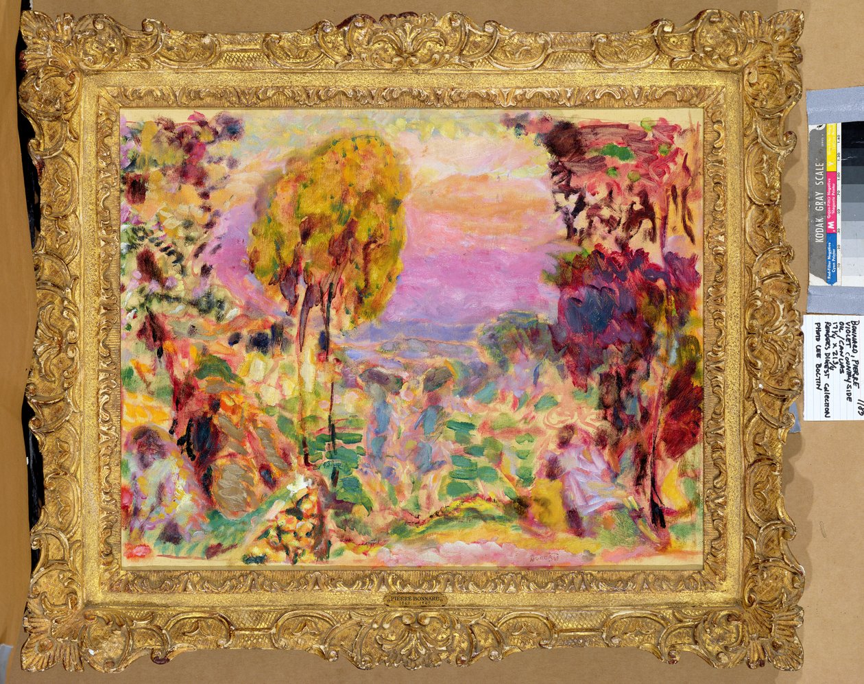 Campagne violette - Pierre Bonnard