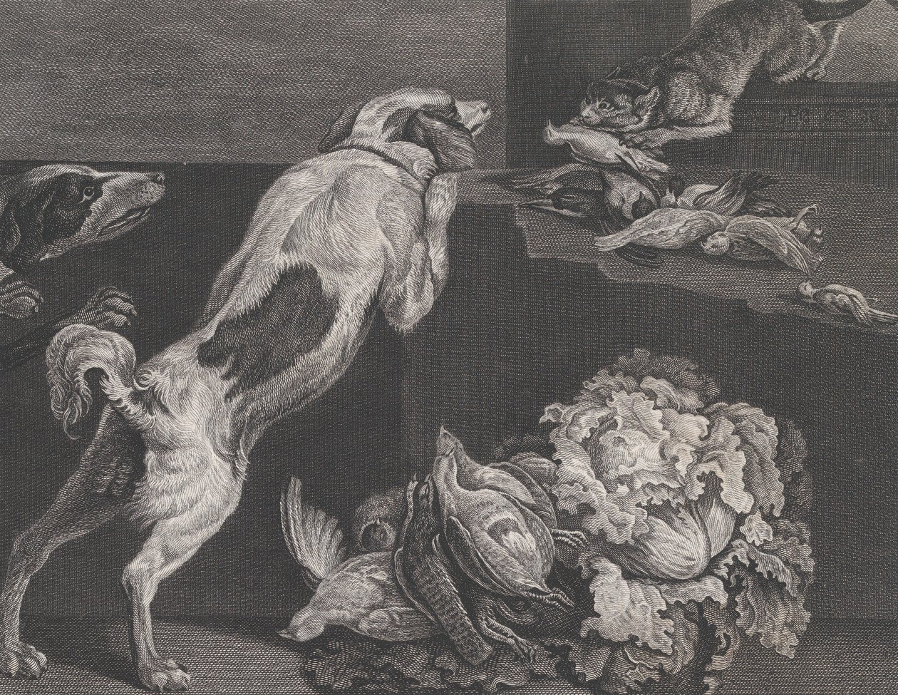 Chiens et nature morte, 1778 - Pierre Charles Canot