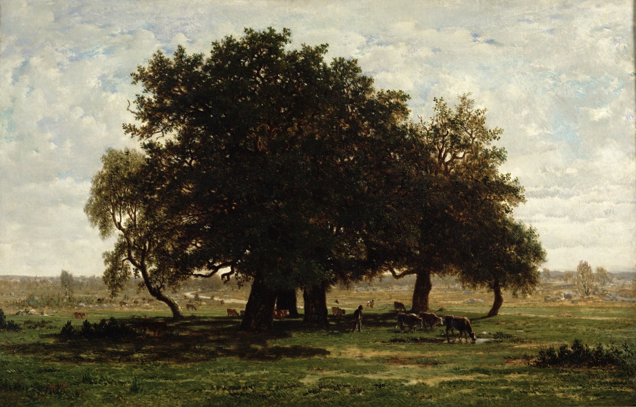 Chênes verts, Apremont, 1850-52 - Pierre Etienne Theodore Rousseau