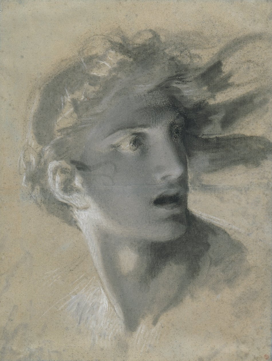 Tête de vengeance - Pierre Paul Prud