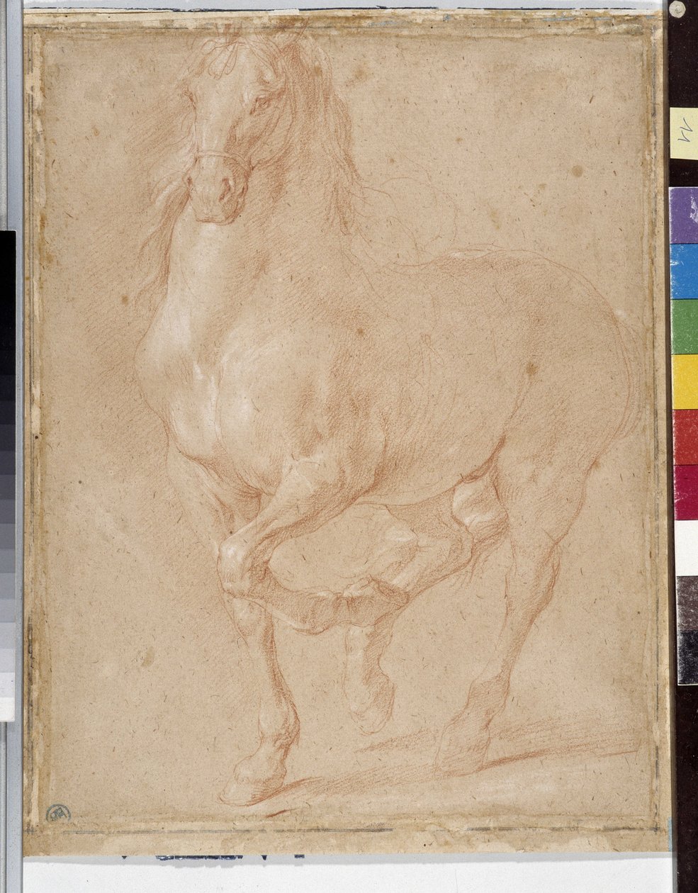 Étude de cheval - Pierre Puget