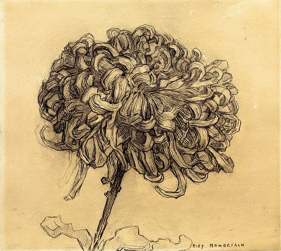 Chrysanthème - Piet Mondrian