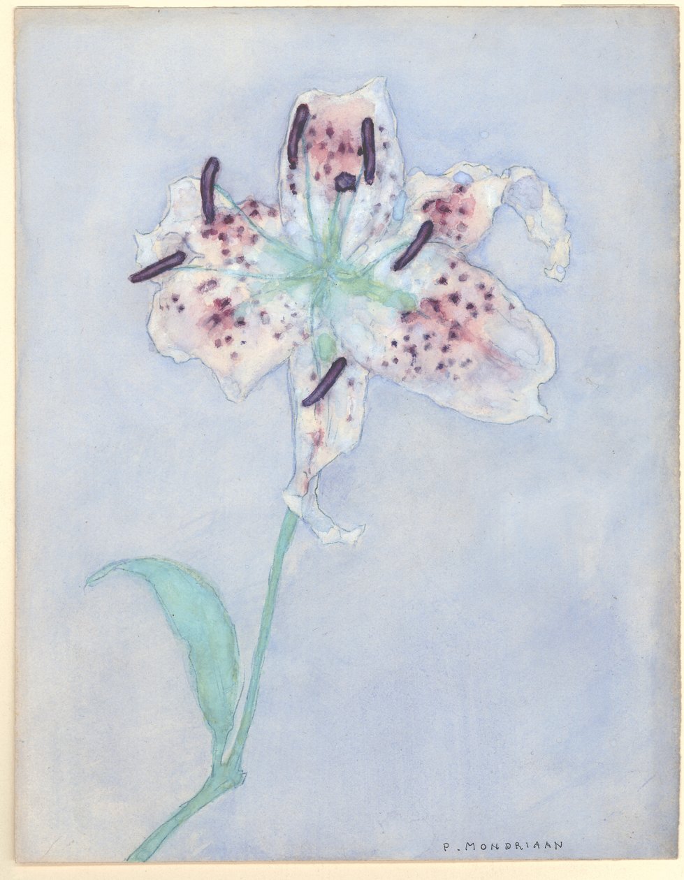 Lys, après 1921 - Piet Mondrian