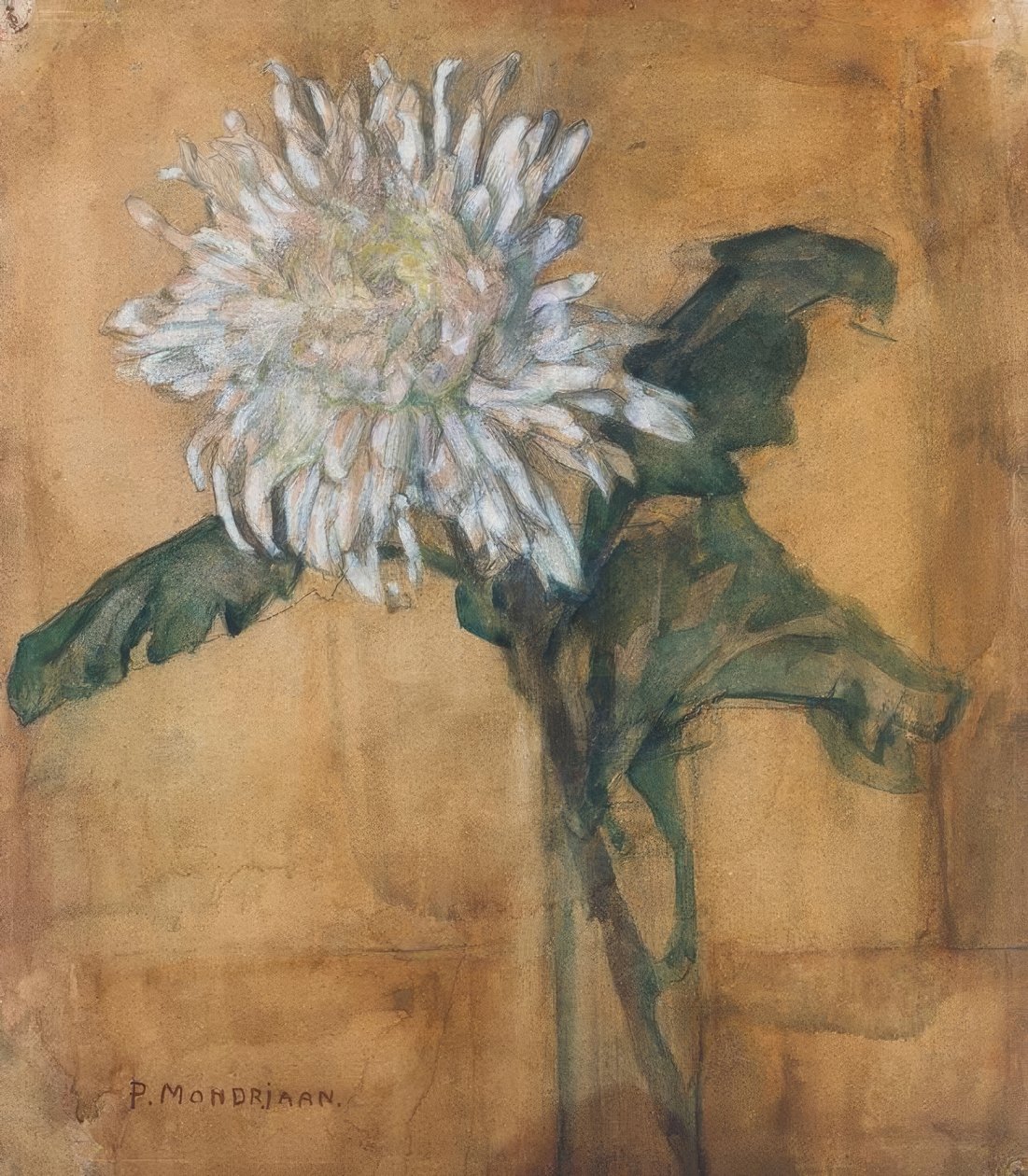 Chrysanthème - Piet Mondrian
